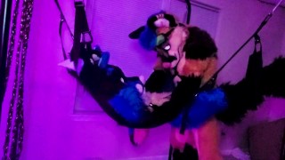 Xneo breed Sucario’s ass bareback in a sex swing